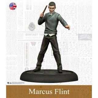 Harry Potter Miniatures Game: Slytherin Students (EN)