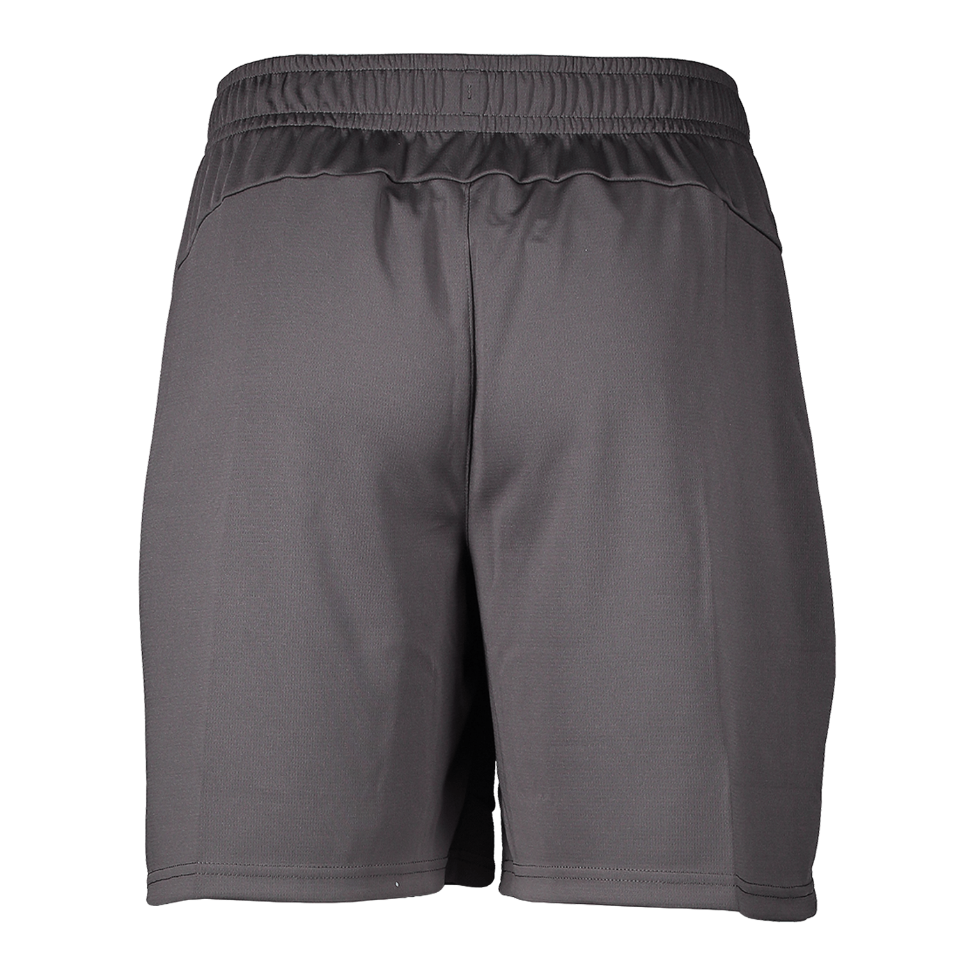 PUMA Schweiz Trainingsshort EM 2024 Grau F11