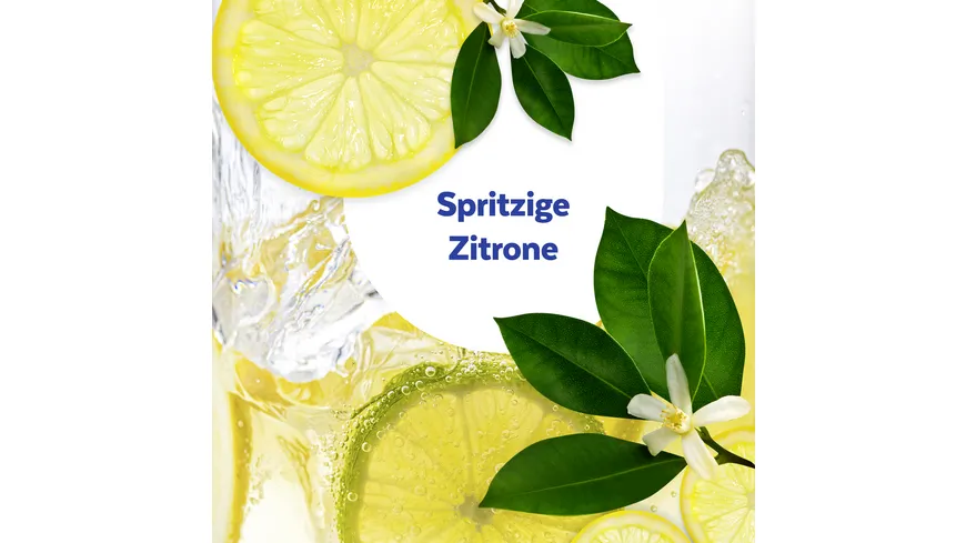 Sagrotan Küchen-Reiniger Spritzige Zitrone 750 ml