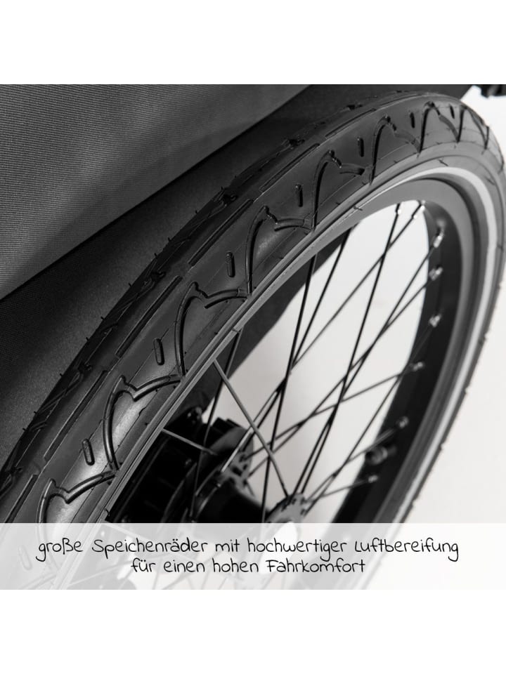Hauck 2in1 Fahrradanhänger Dryk Duo für 2 Kinder (bis 44 in grau,schwarz günstig kaufen onesize