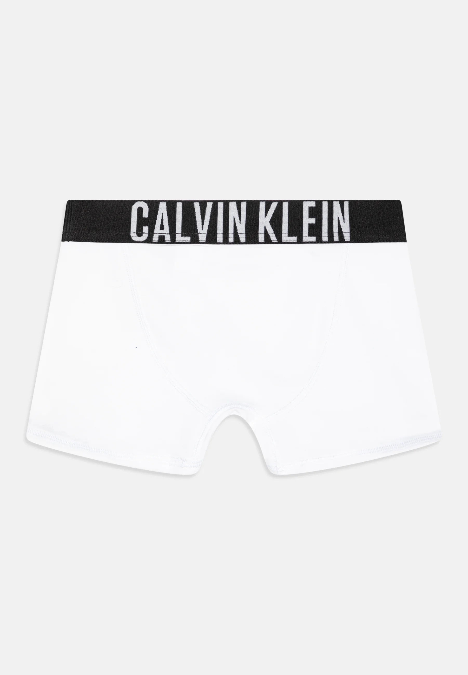 Calvin Klein Underwear TRUNK PACK DE 2 - Culotte