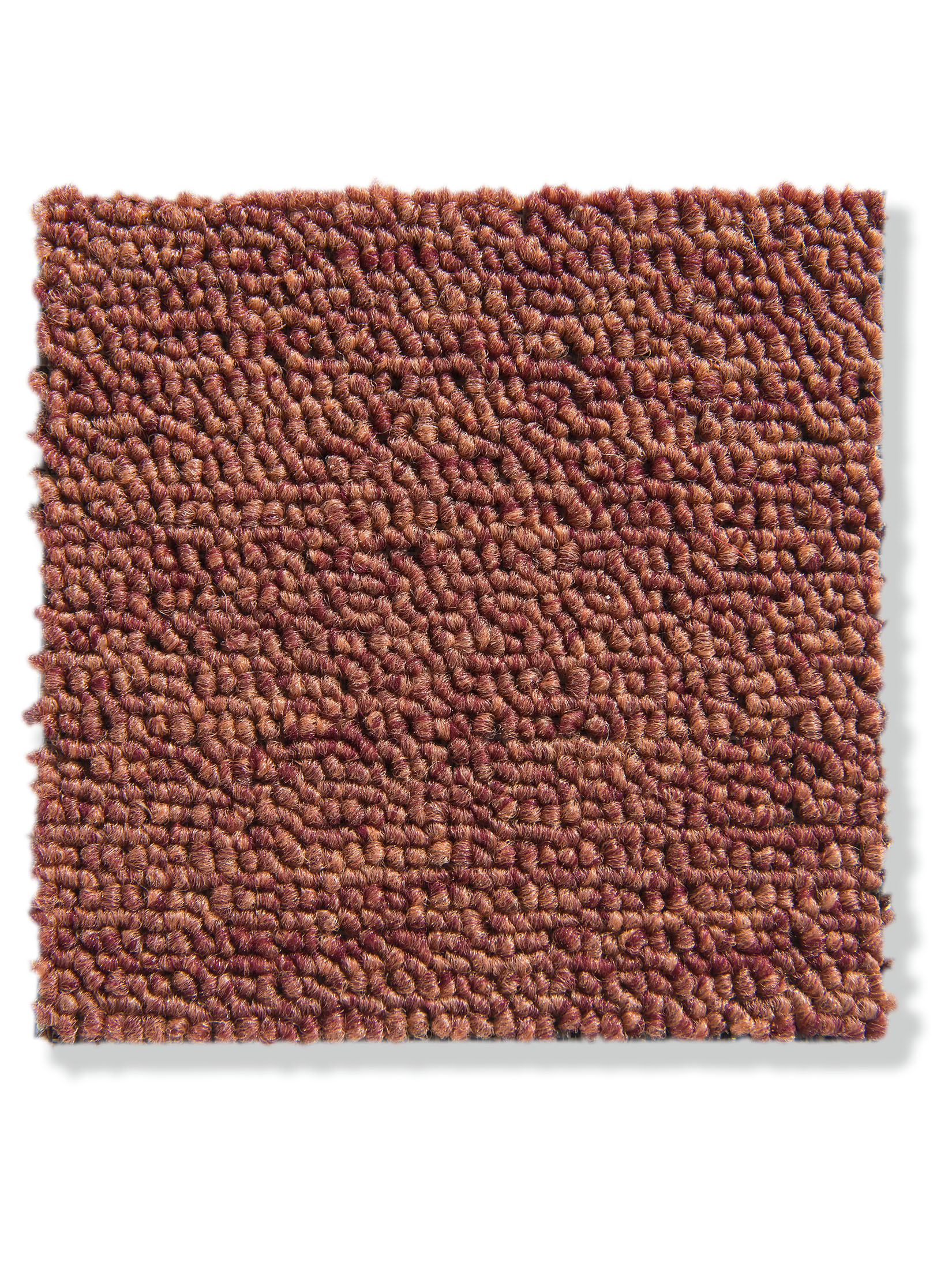Triton Schlingen-Teppichboden, Terra 38