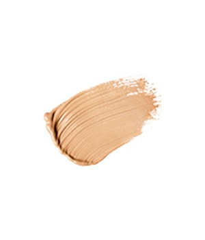 Absolute New York Radiant Cover Concealer-8 ml