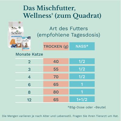 Sparpaket Schesir Katze Jelly Pouch 24 x 85 g