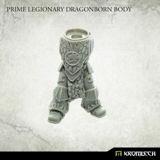 Prime Legionary Dragonborn Bodies (5)