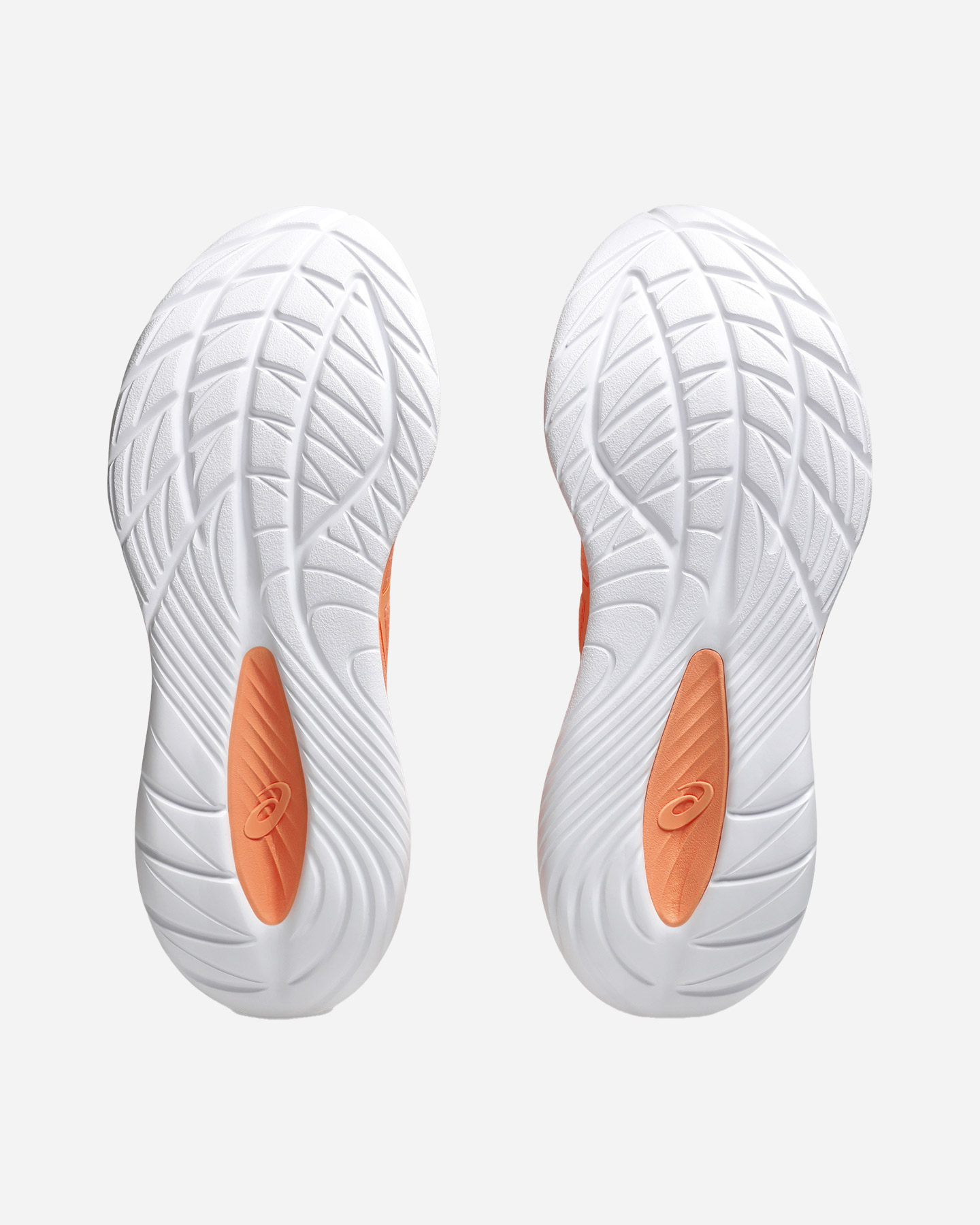 Buty do biegania Scarpe Asics Gel Cumulus 27 Lite-show M 1011C104-800