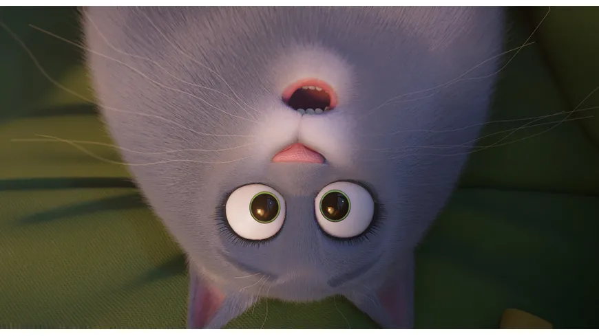 Pets 2