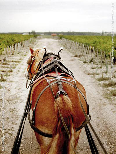 Château Pontet-Canet 2011