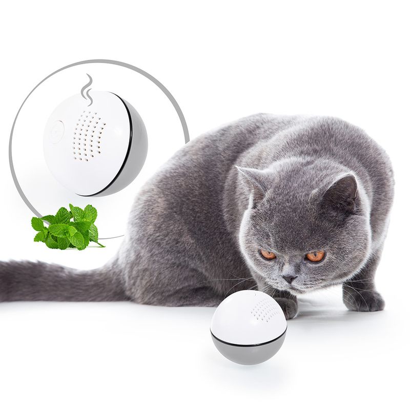 Catlove LED Katzenspielzeug Ball zu TOP-Preisen