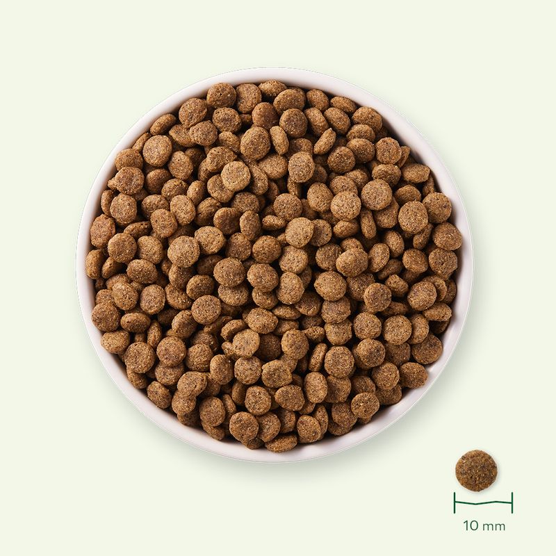 Yarrah Bio Sterilised zu TOP-Preisen