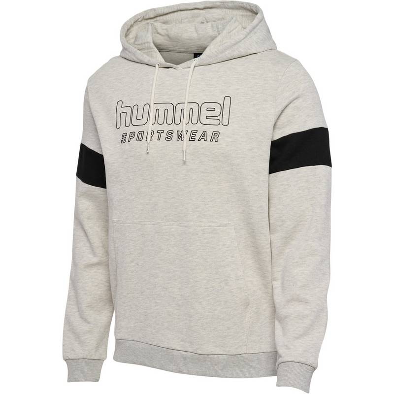 hummel hmlLGC BRYCE HOODIE Hoodie Herren