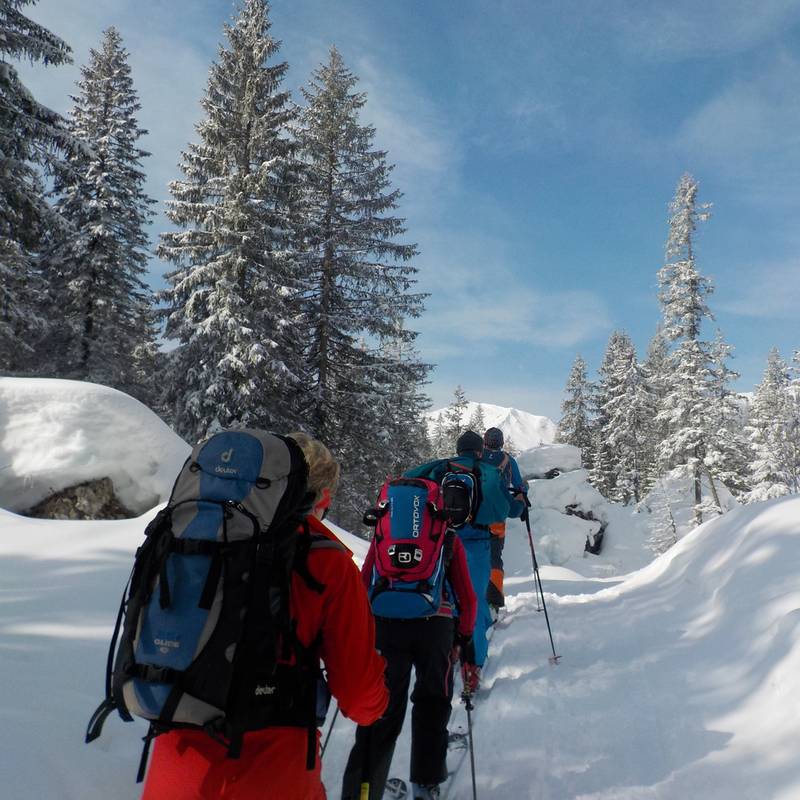 Erlebnis Geführte Skitour für Anfnger Tour