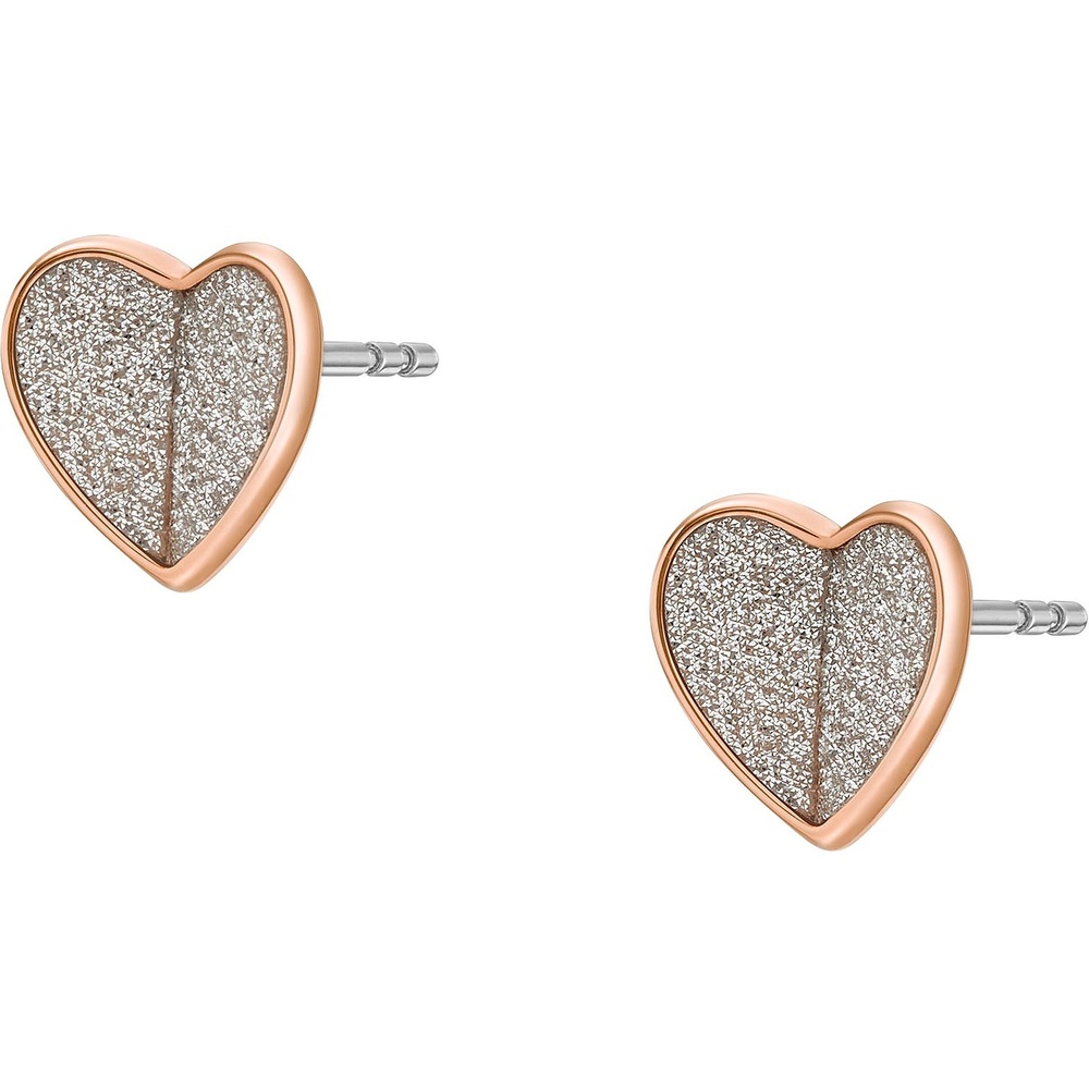 Fossil Boucles d'oreilles à fermoir à poussette Acier inoxydable Boucles d'oreilles