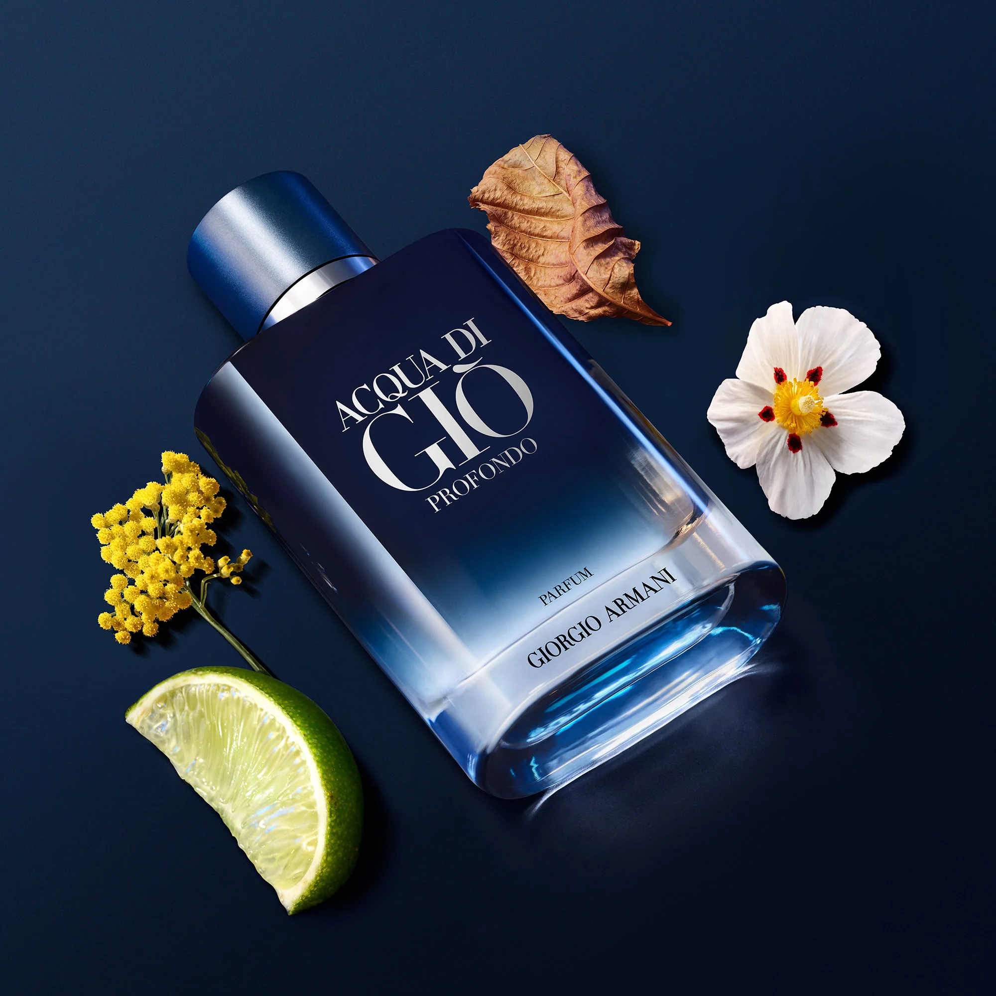 Acqua Di Giò Profondo Parfum - Perfume Masculino, Parfum