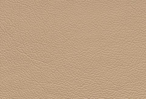 DOMO collection Sessel Norma