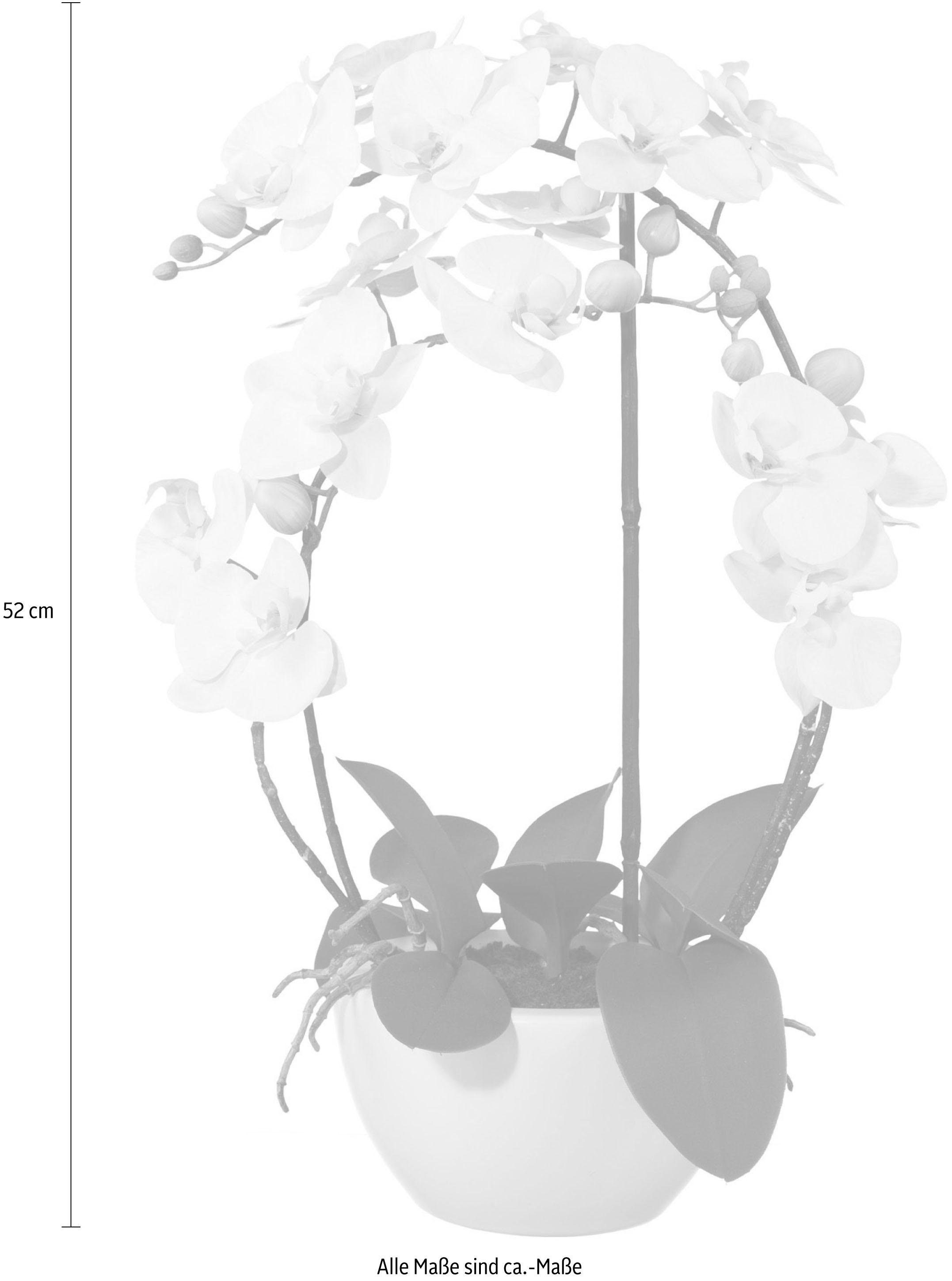 Kunstpflanze Phalaenopsis Orchidee, Creativ green, Höhe 52 cm