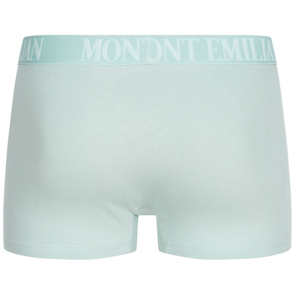 MONT EMILIAN 