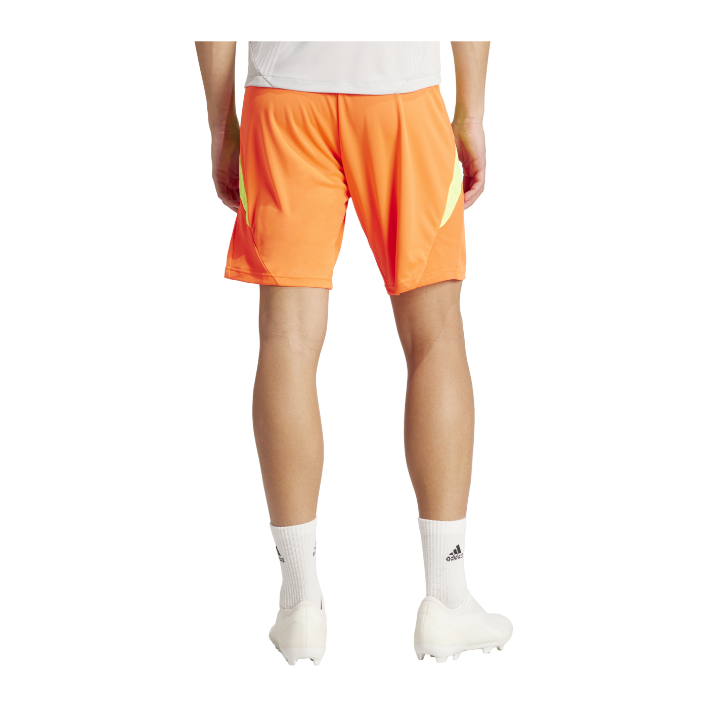 adidas Tiro 24 Pro Training Short Rot Gelb