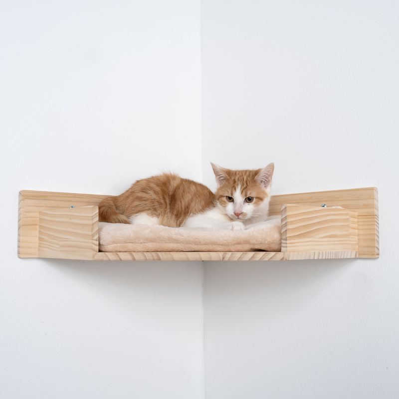 Modern Living Wandliegebett Serra zu TOP-Preisen
