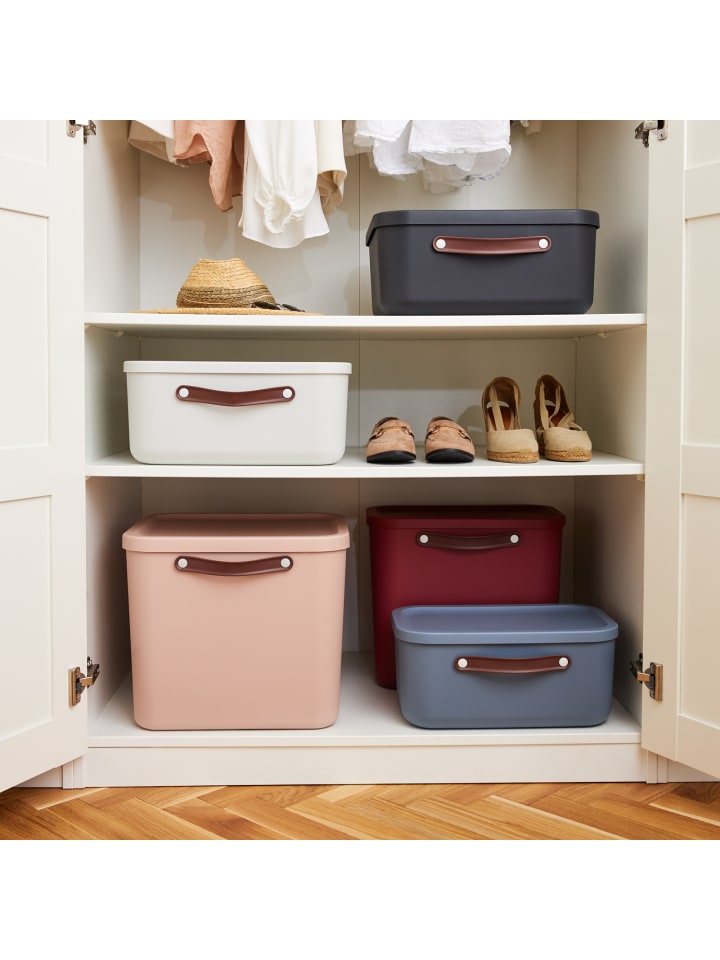 Rotho Aufbewahrungskiste 20l in Meadow rose günstig kaufen onesize