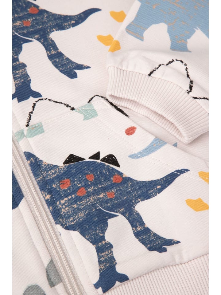 Coccodrillo Sweatshirt mit Reißverschluss in grau günstig kaufen