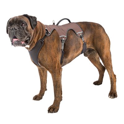 Ferplast Ergotrekking Geschirr, braun