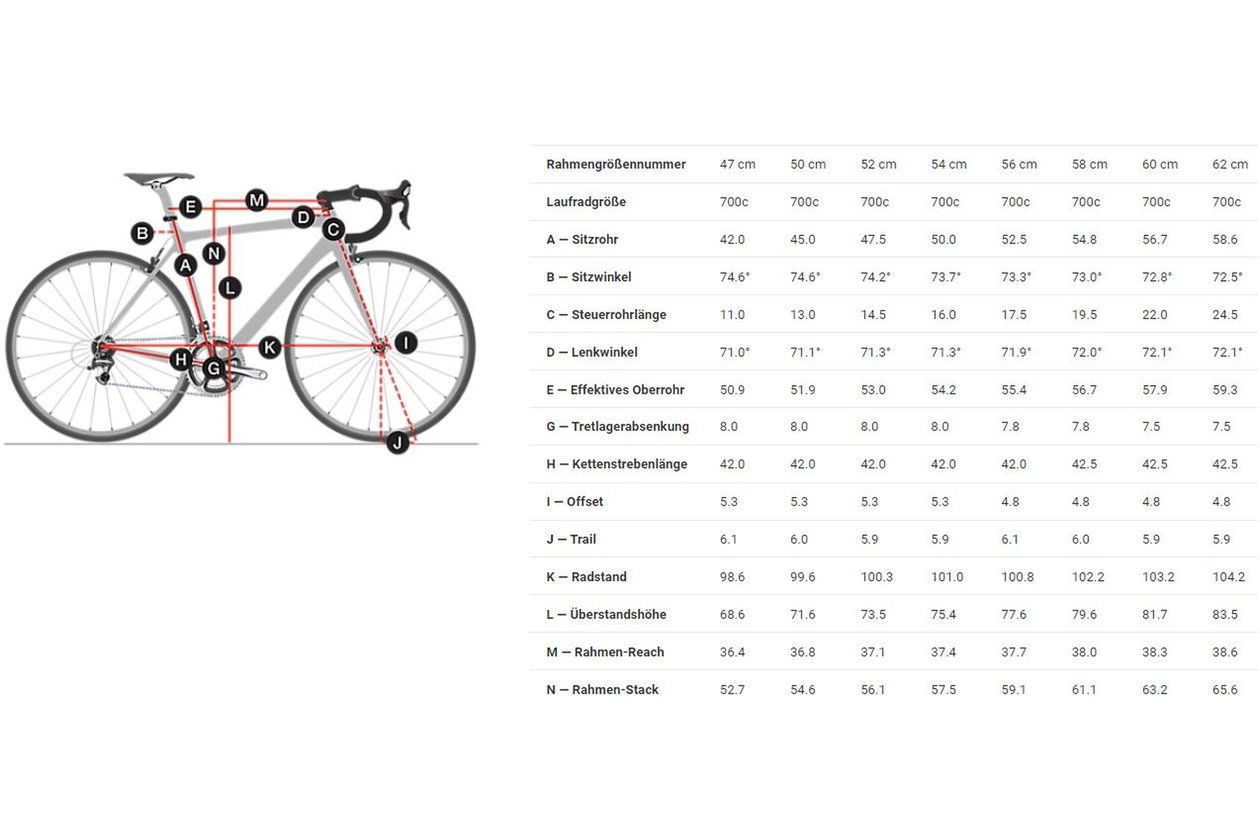 Trek Domane AL 2 - 2024 - 28 Zoll - Diamant
