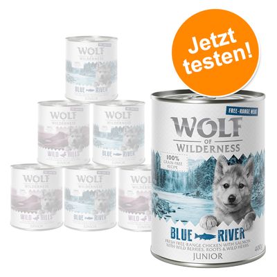 Wolf of Wilderness JUNIOR - Mixpaket