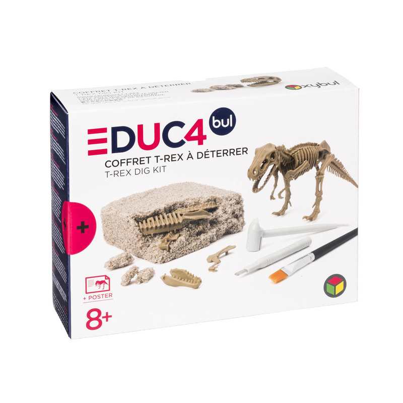 Coffret dinosaure T-rex à déterrer Oxybul