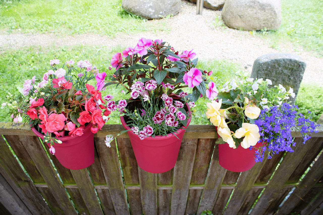 KHW Geländerblumentopf Flowerclip, 3er Set, beere