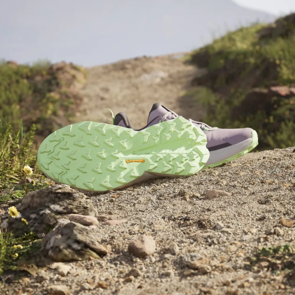 adidas Trailmaker 2.0 GORE TEX IE5157 / pink