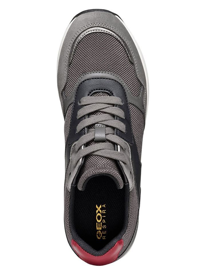 Geox Sneakers 
