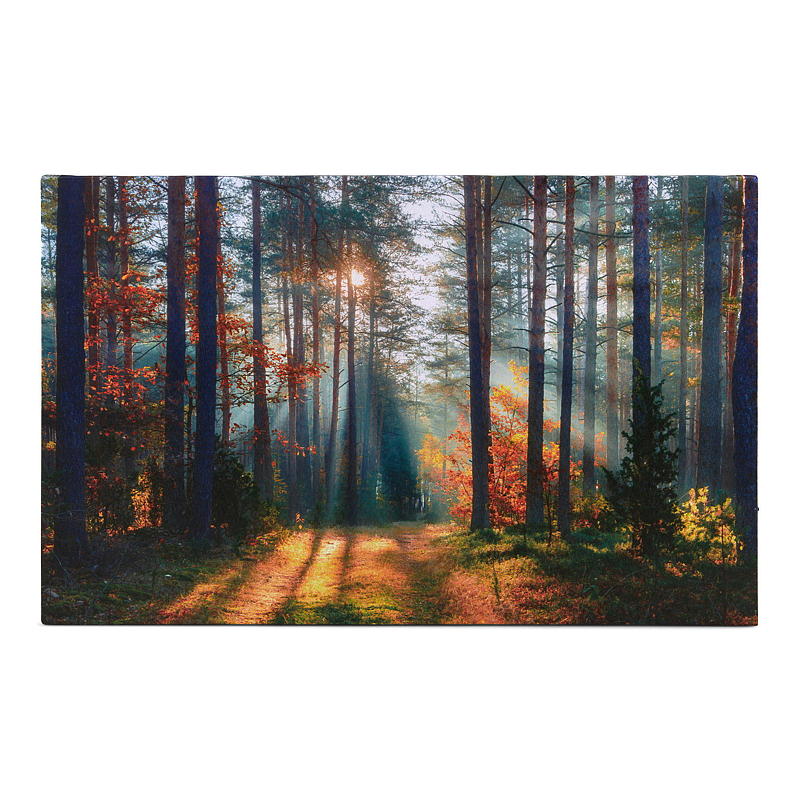Home Canvasbilde 38x58 cm LED/fiberoptik Autumn