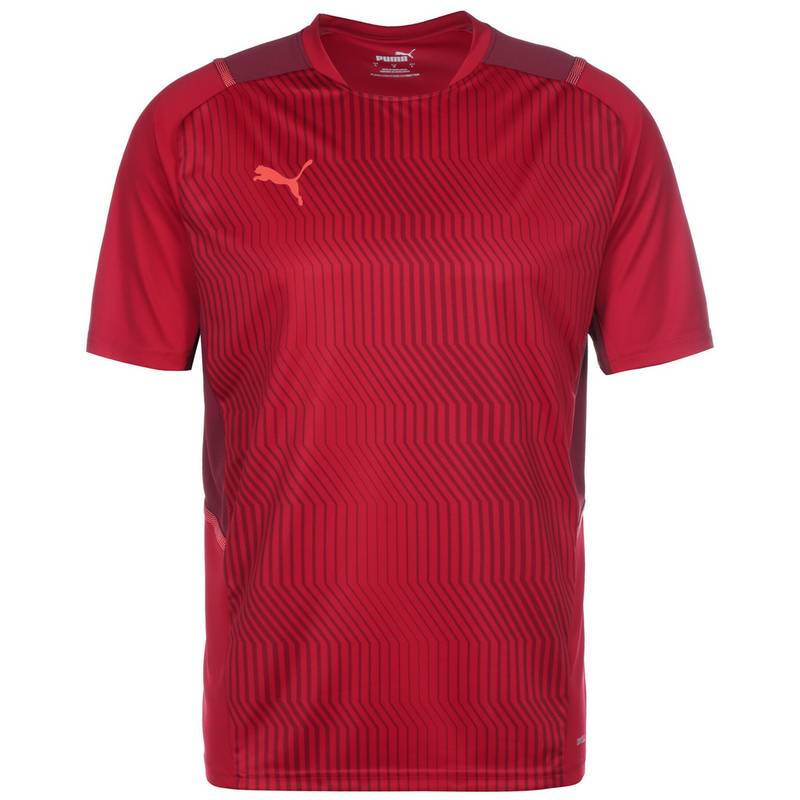 PUMA TeamCUP Funktionsshirt Herren