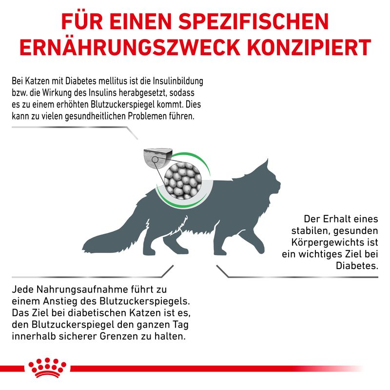 Royal Canin Veterinary Feline Diabetic zu TOP-Preisen | bitiba %