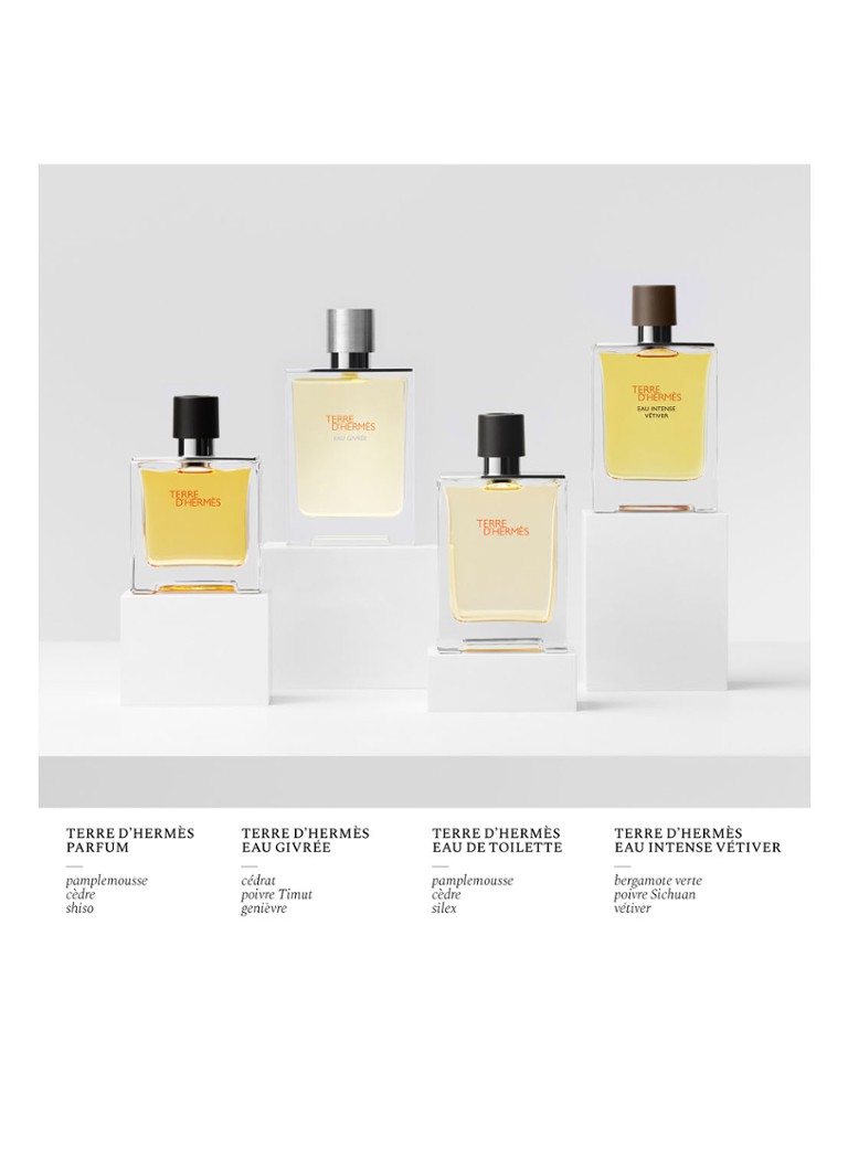 HERMÈS Terre d'Hermès Eau Givrée parfimērijas ūdens