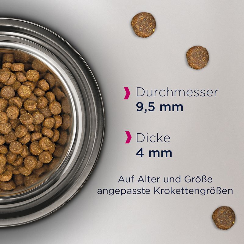 Eukanuba Senior Grain Free Reich an Lachs zu TOP-Preisen | bitiba