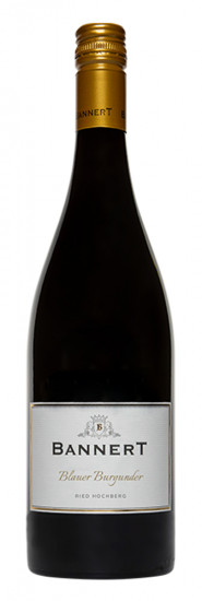 2019 Blauer Burgunder RESERVE, Ried Hochberg trocken - Weingut Bannert