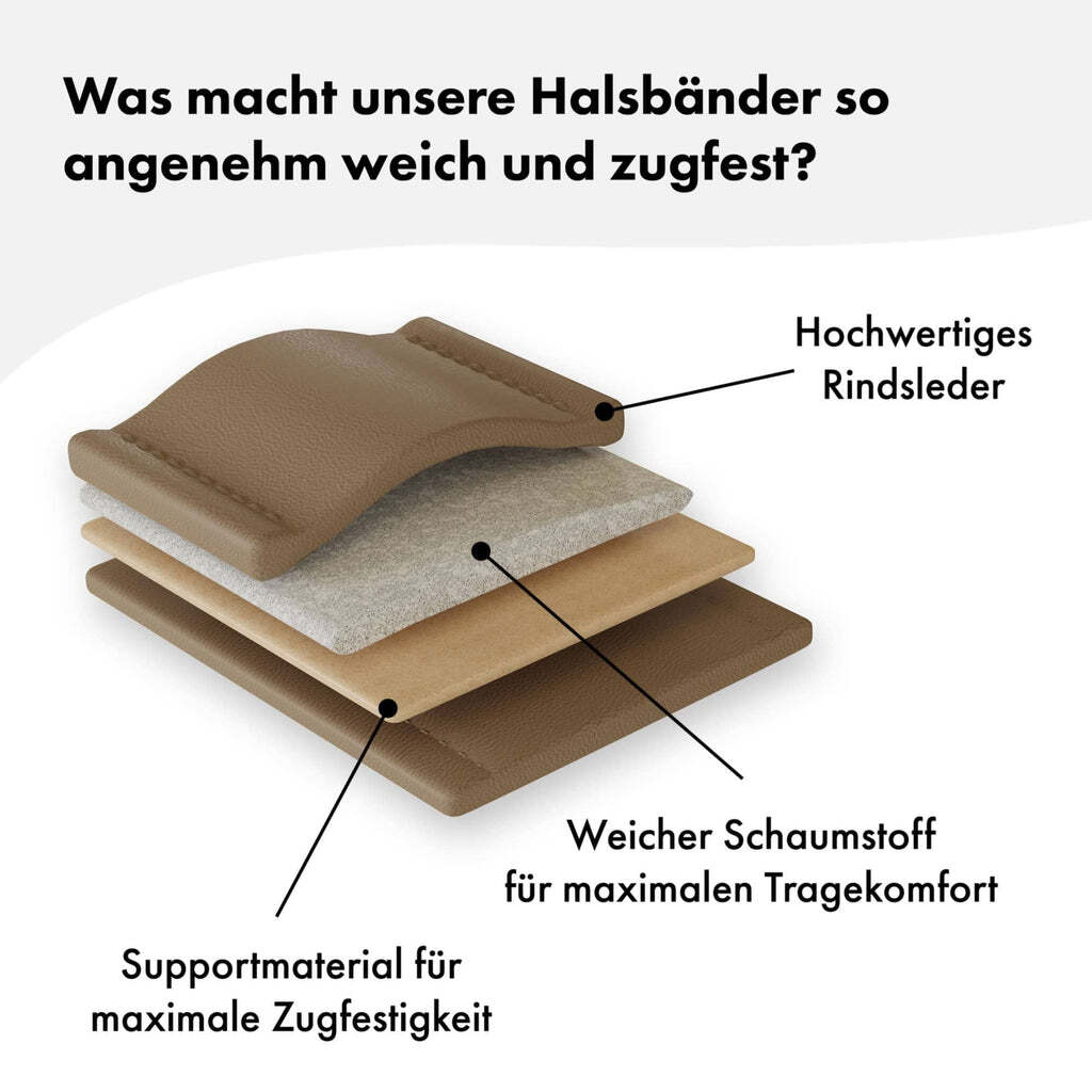 William Walker Hundehalsbänder William Walker Hundehalsband Plain Sand XXL