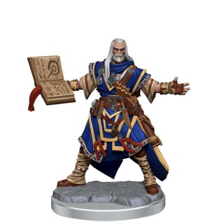 Pathfinder Legendary Cuts: Male Human Wizard (2)