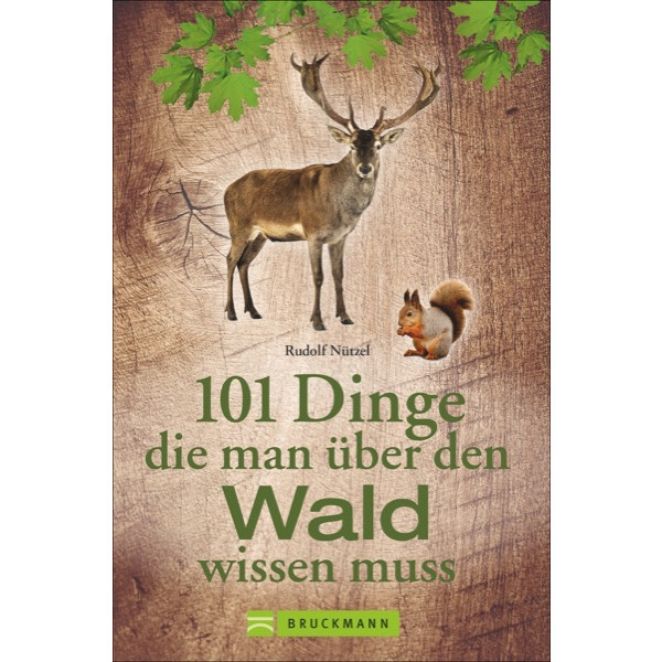 101 DINGE, DIE MAN ÜBER DEN WALD WISSEN MUSS - Sachbuch