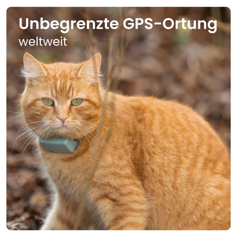 Tractive GPS Tracker für Katzen zu TOP-Preisen