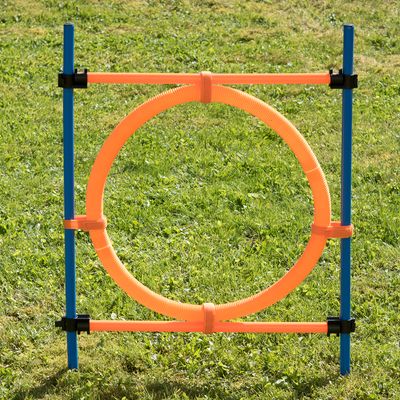 Agility Fun & Sport Sprungring
