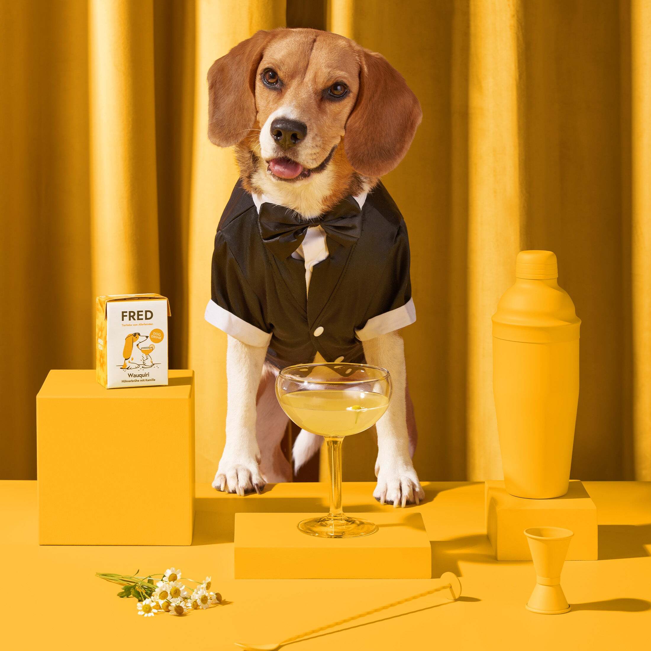 Fred & Felia Hundenassfutter Fred & Felia FRED 10x200g Dog Drink 