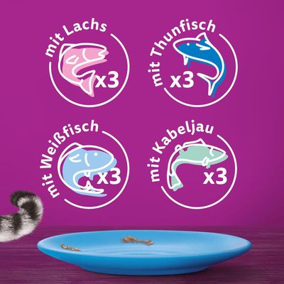 Megapack Whiskas 1+ Adult Frischebeutel 48 x 85 g