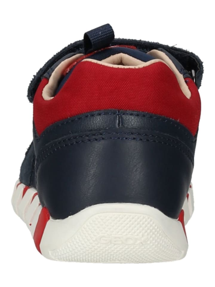 Geox Sneaker in Navy/Rot günstig kaufen