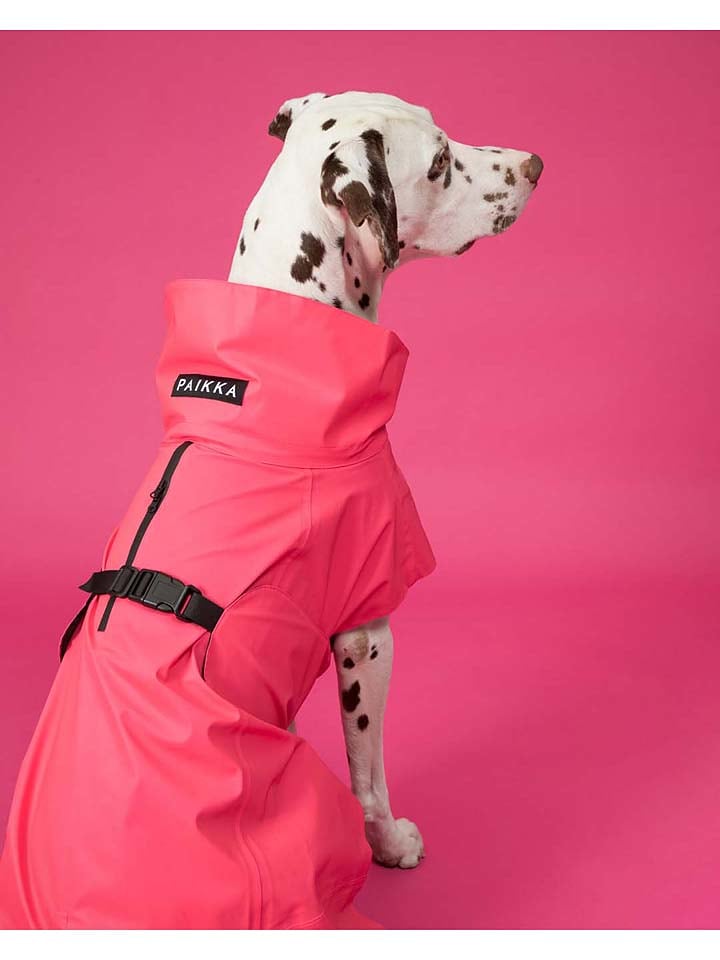 Paikka Visibility-Hunderegenmantel in Pink günstig kaufen