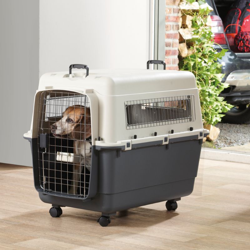 Sparset Transportbox Feria Andes + Fleecedecke Pawty | bitiba %
