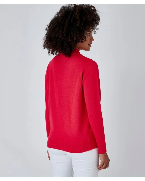 Pull col montant boutonné