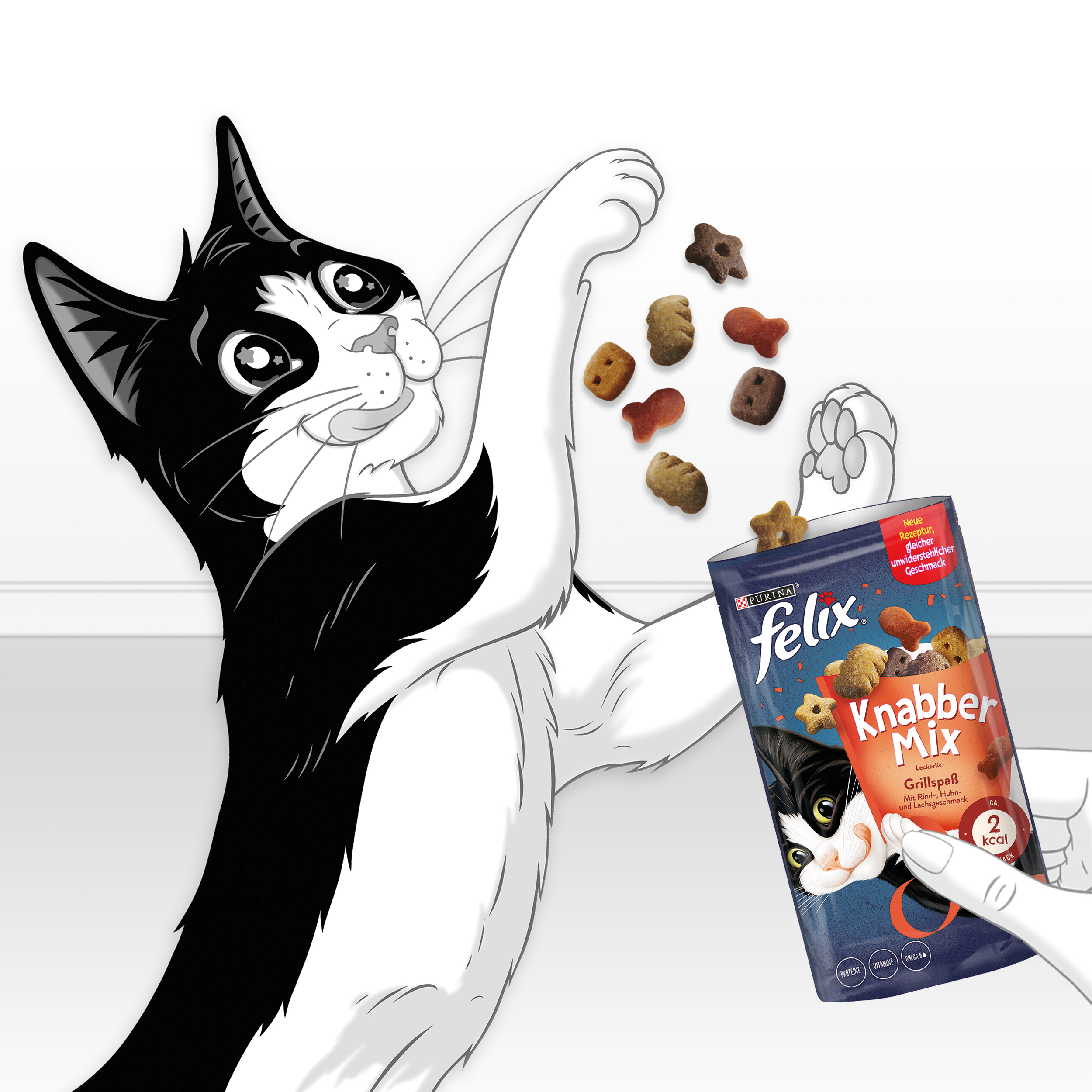 Felix Snacks Felix KnabberMix 8x60g Grillspaß